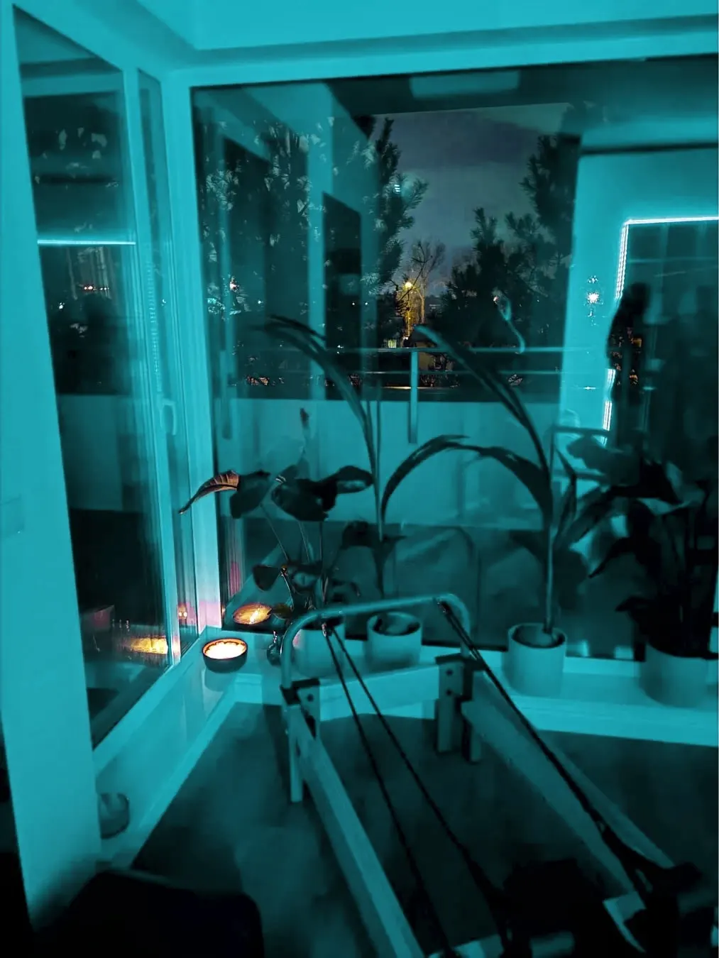 Studio Lumi Pilates w Markach wieczorem – reformer przy dużych oknach i roślinach